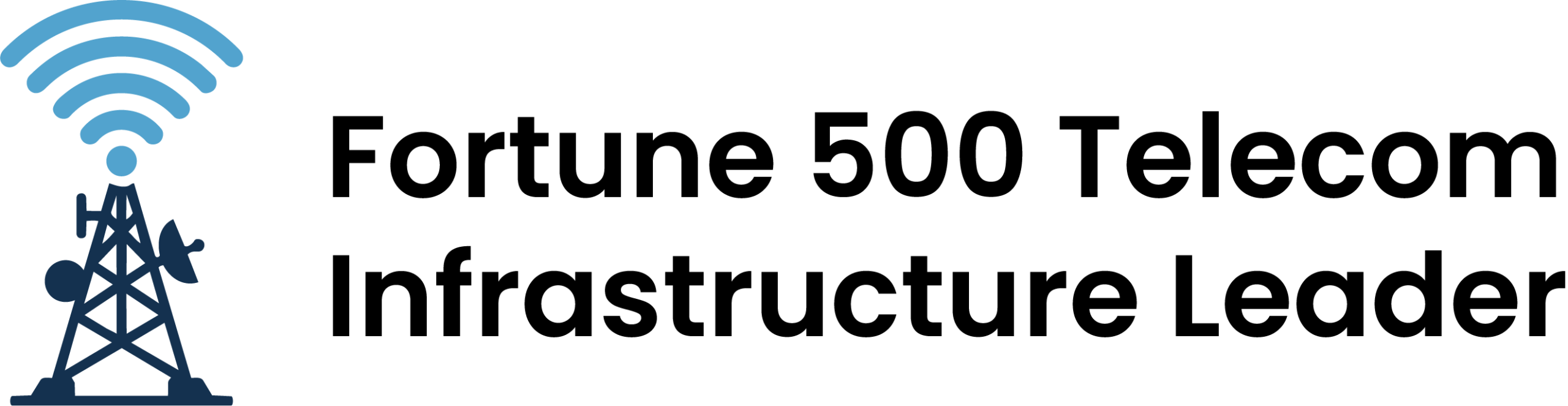 Fortune 500 Telecom Infrastructure Leader