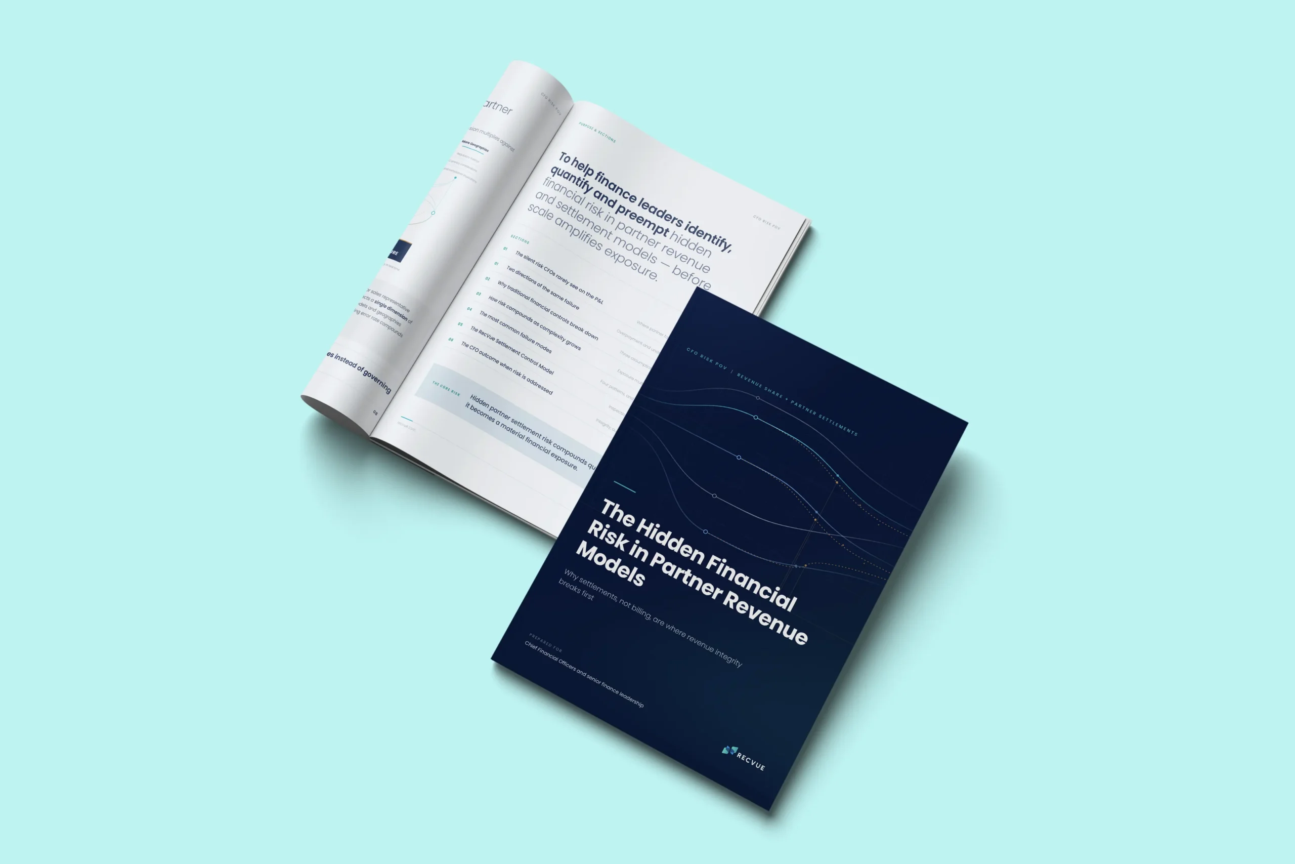 The Hidden Financial Risk in Partner Revenue Models
